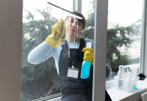 Nettoyage de vitres intérieures et extérieures à Geu